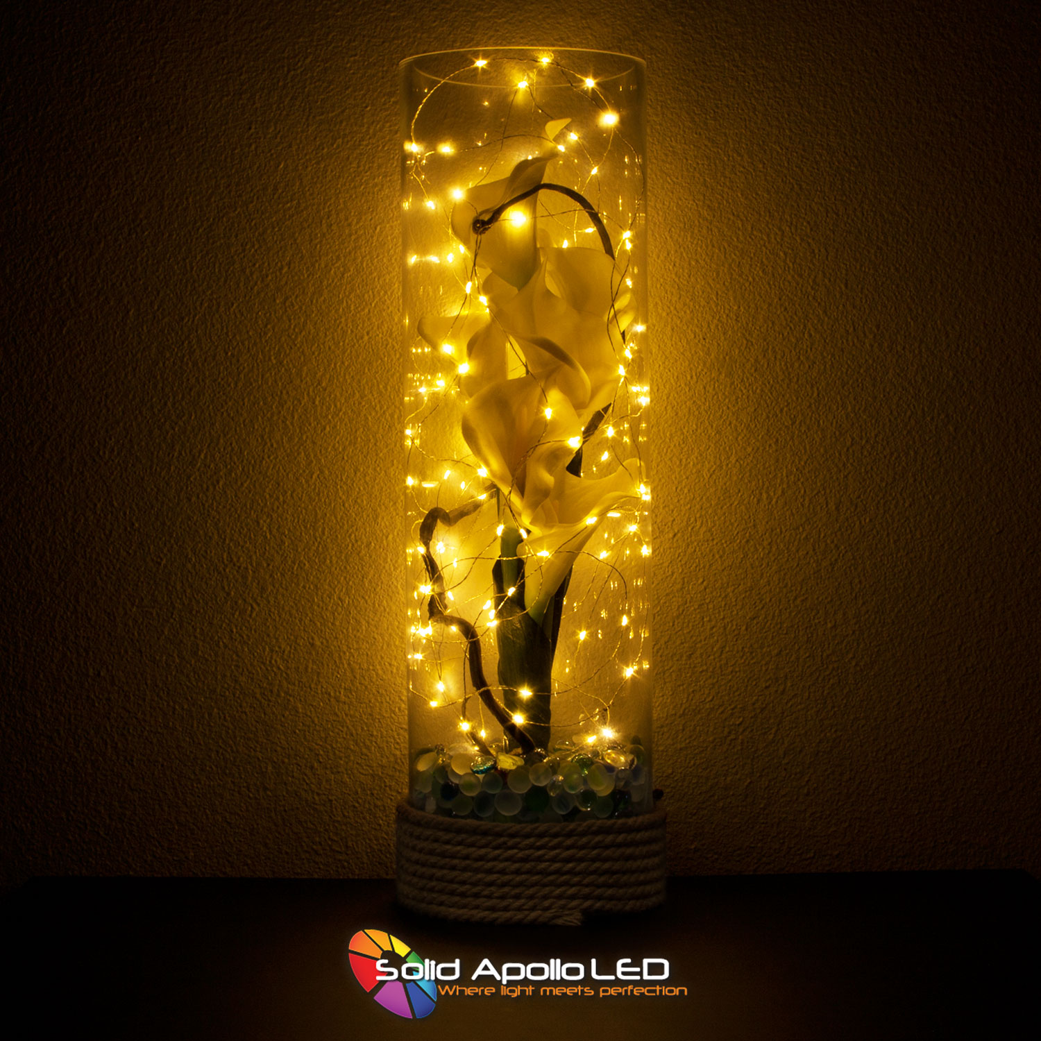 Warm White LED String Light 32ft