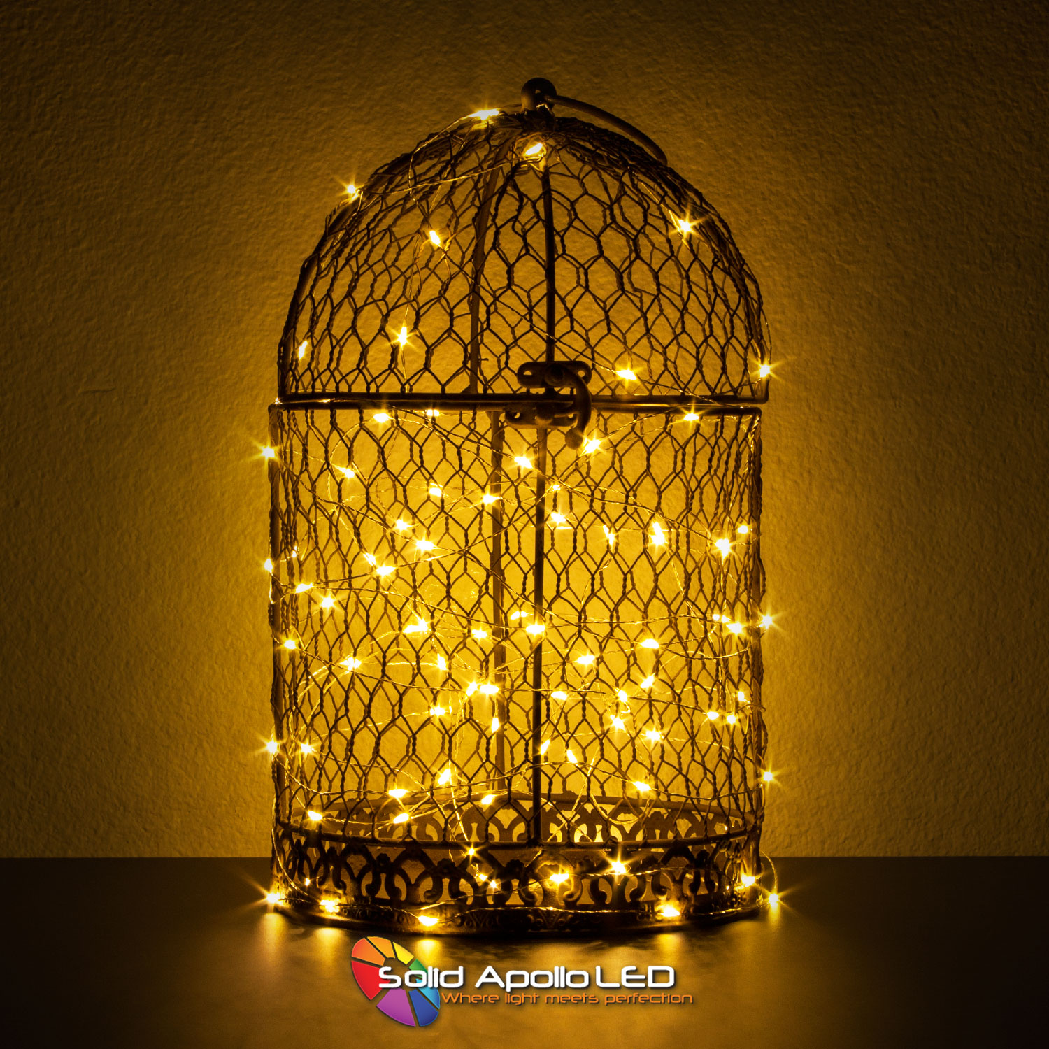 Warm White LED String Light 32ft