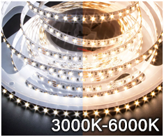 Dynamic White LED Strip