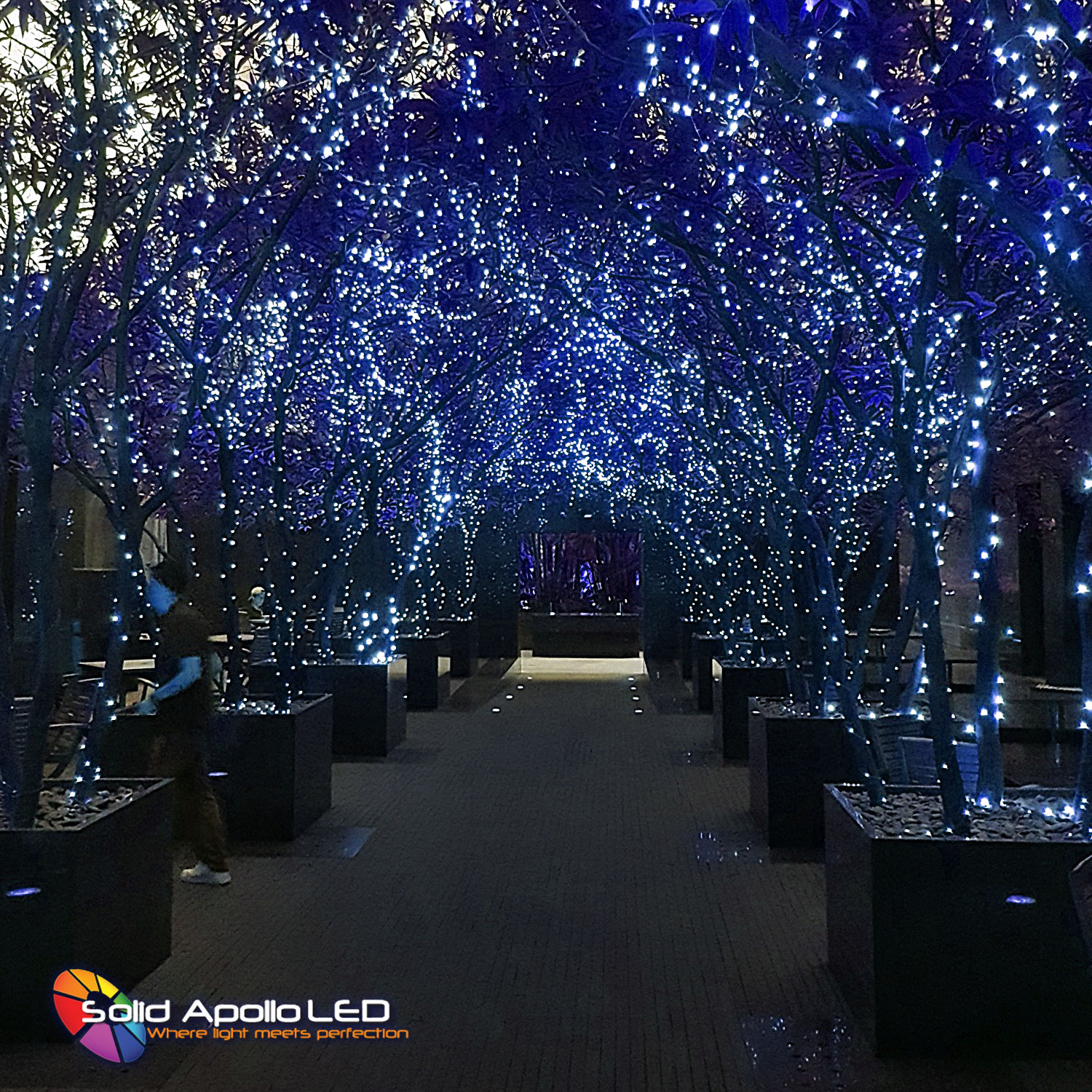 Blue LED String Lights