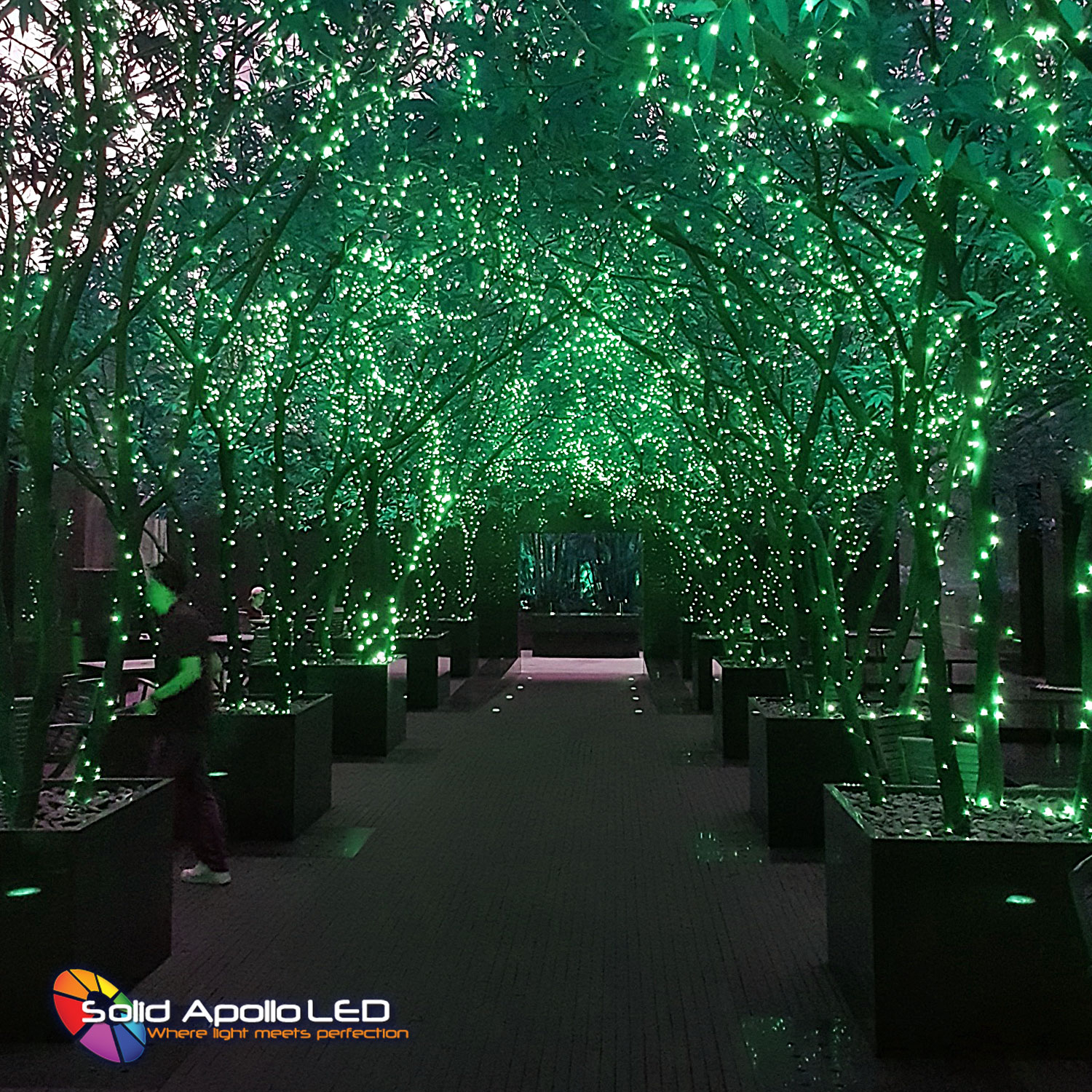 Green LED String Lights