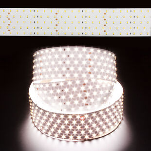 Natural White High CRI PRO-Line 2835 165W LED Strip Light 5000K