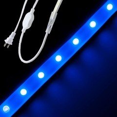 Blue Driverless 5050 LED Strip Light 120V AC