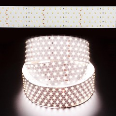 Natural White High CRI PRO-Line 2835 165W LED Strip Light 5000K