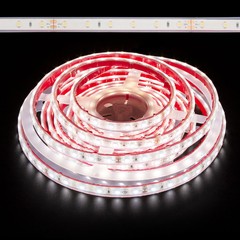 Natural White Waterproof Eco 3528 24W LED Strip Light 5000K