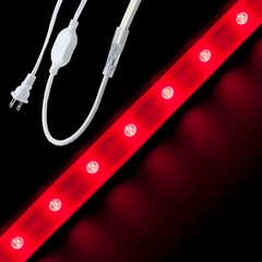 Red Driverless 5050 LED Strip Light 120V AC